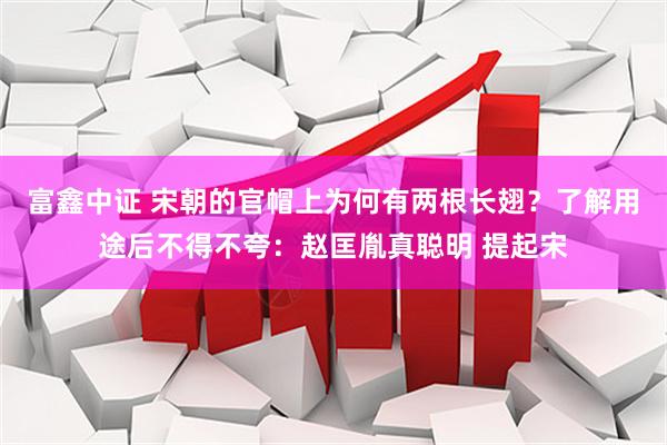 富鑫中证 宋朝的官帽上为何有两根长翅？了解用途后不得不夸：赵匡胤真聪明 提起宋