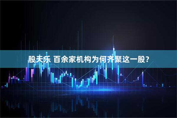 股天乐 百余家机构为何齐聚这一股？